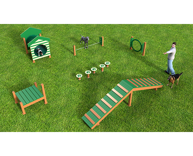 Recycled Intermediate Dog Park Agility Course