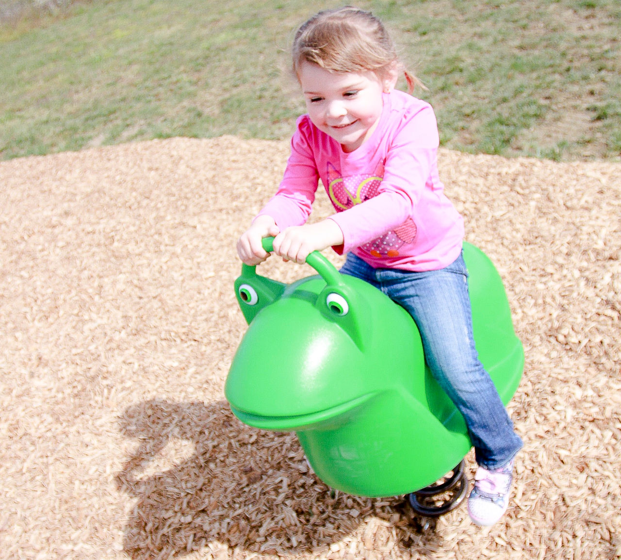 Frog Spring Rider