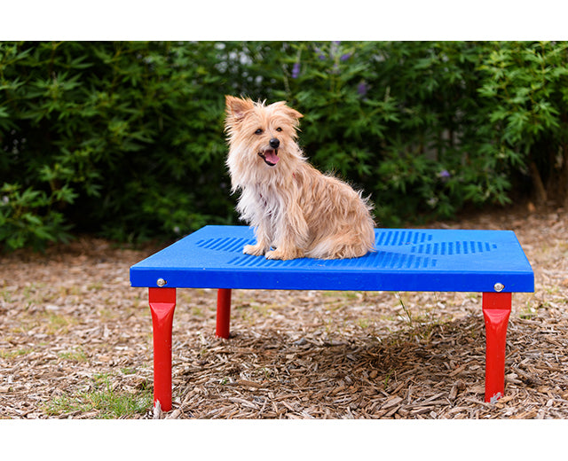 Grooming Table