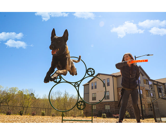 Hoop Jump