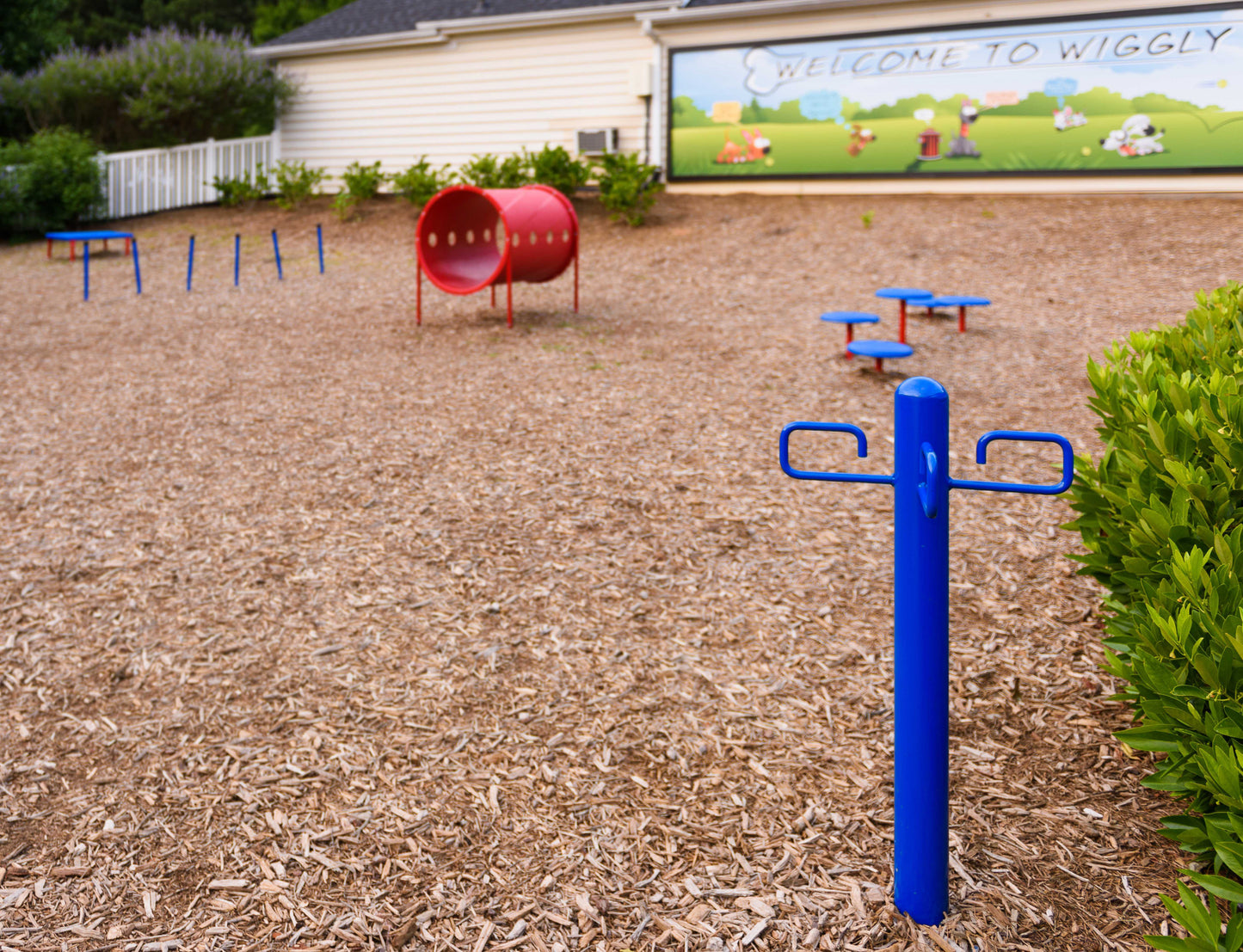 Deluxe Dog Park Amenities Kit