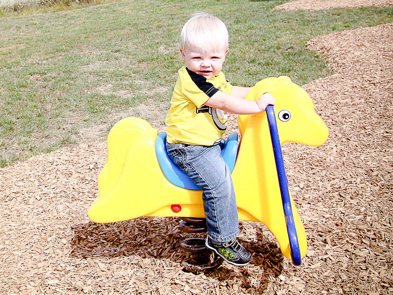 Pony Spring Rider