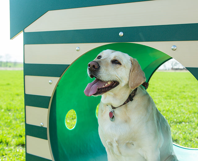 Recycled Crawl Tunnel with Dog House Entry