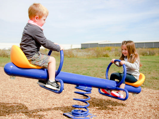 Rocking Teeter Totter Duo