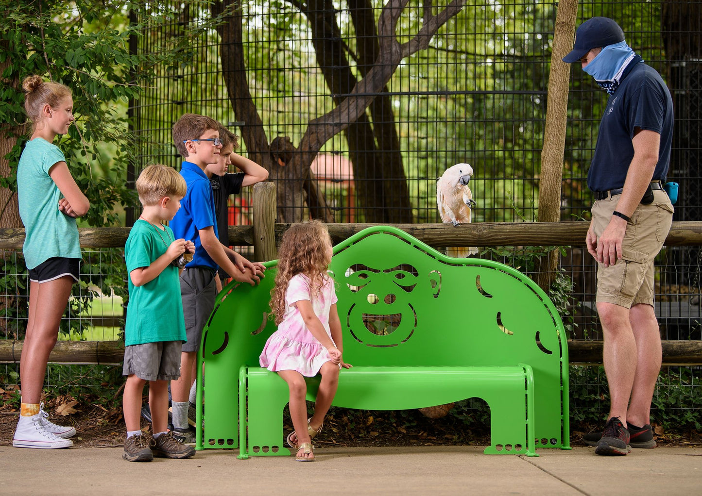 Gorilla Bench