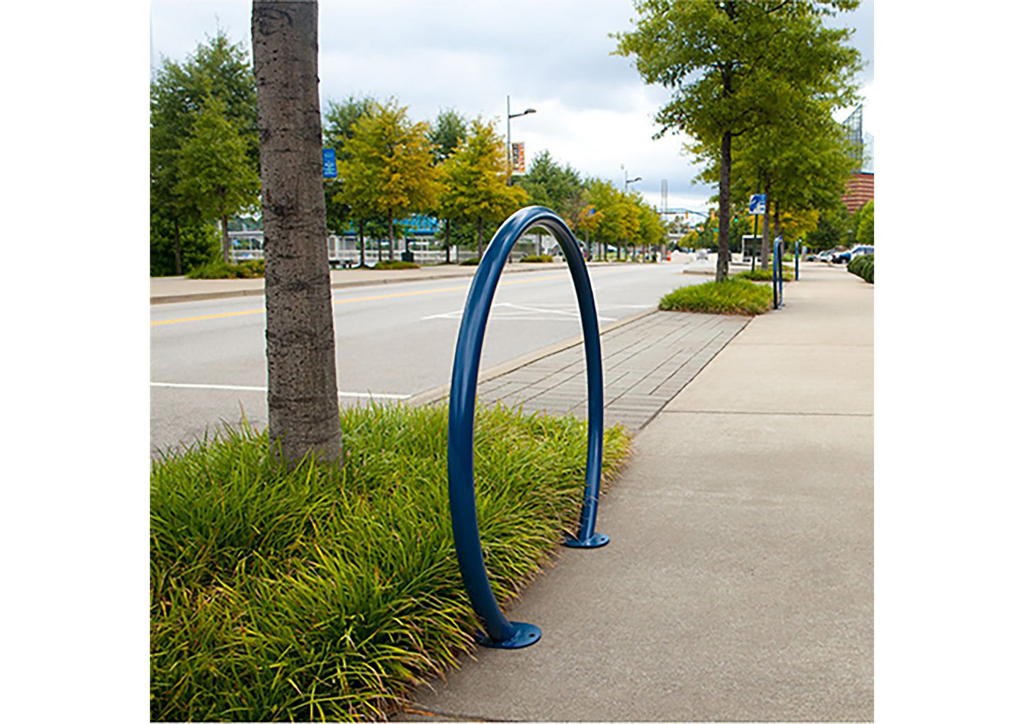 Horseshoe Bike Rack