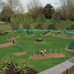 Expert Dog Park Agility Course