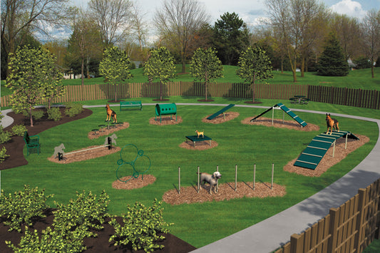 Expert Dog Park Agility Course