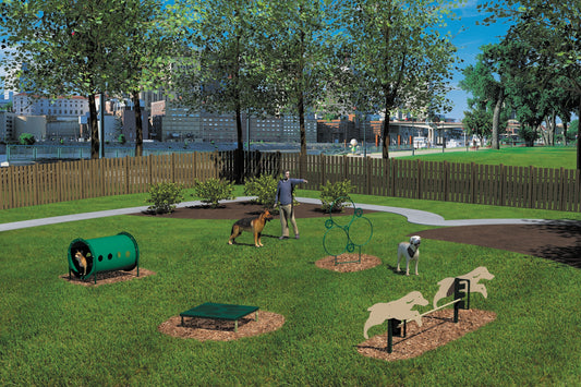 Novice Dog Park Agility Course