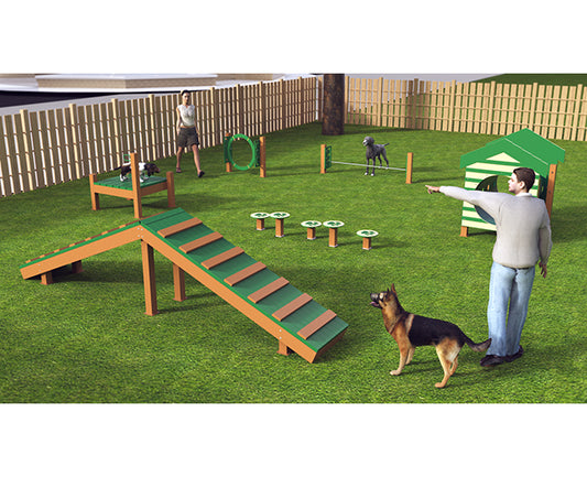 Recycled Intermediate Dog Park Agility Course
