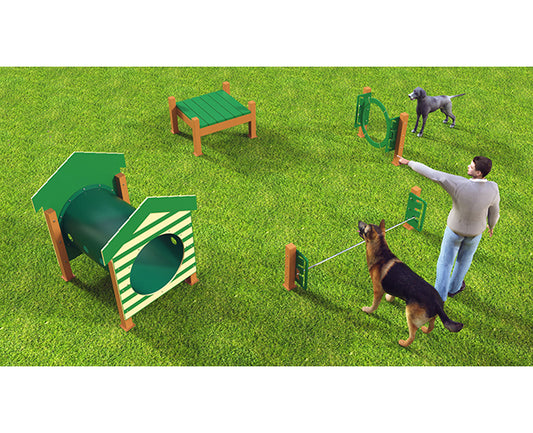 Recycled Novice Dog Park Agility Course