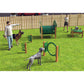 Recycled Novice Dog Park Agility Course