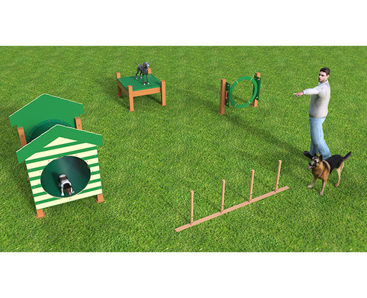 Recycled Small Dog Dog Park Agility Course