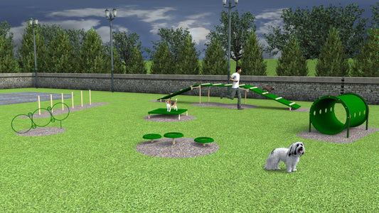 Small Dog Advanced  Dog Park Agility Course