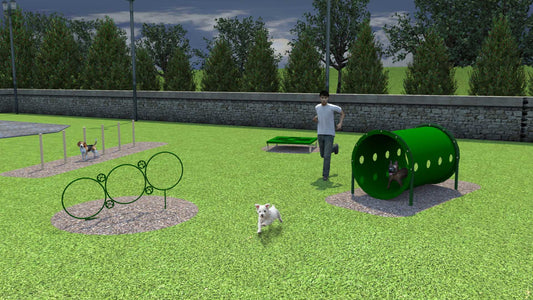 Small Dog Dog Park Agility Course