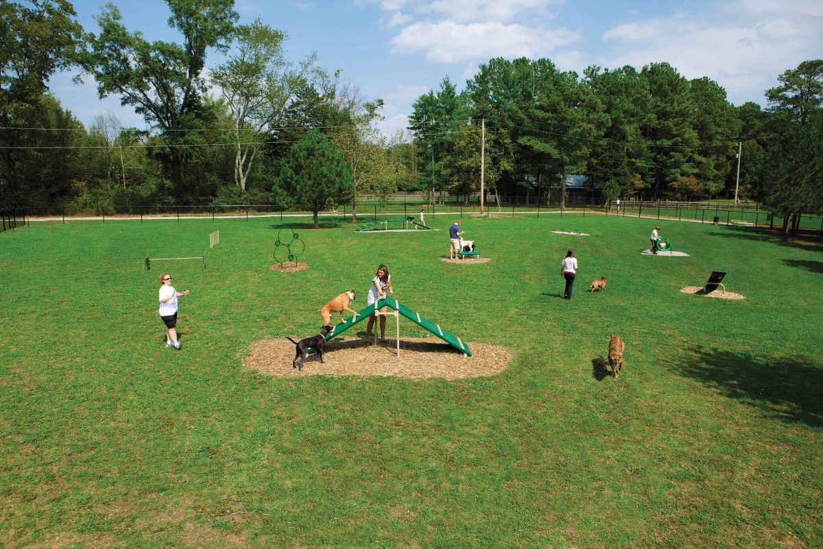 Expert Dog Park Agility Course