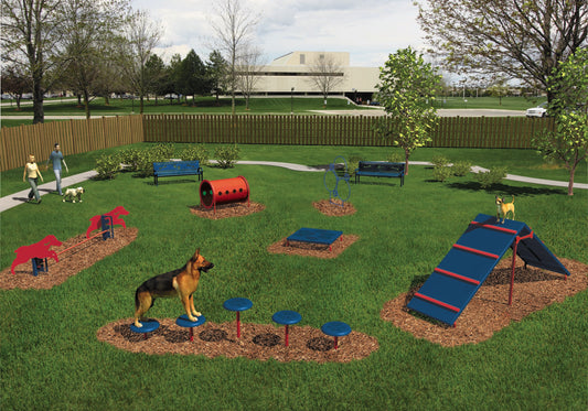 Intermediate Dog Park Agility Course