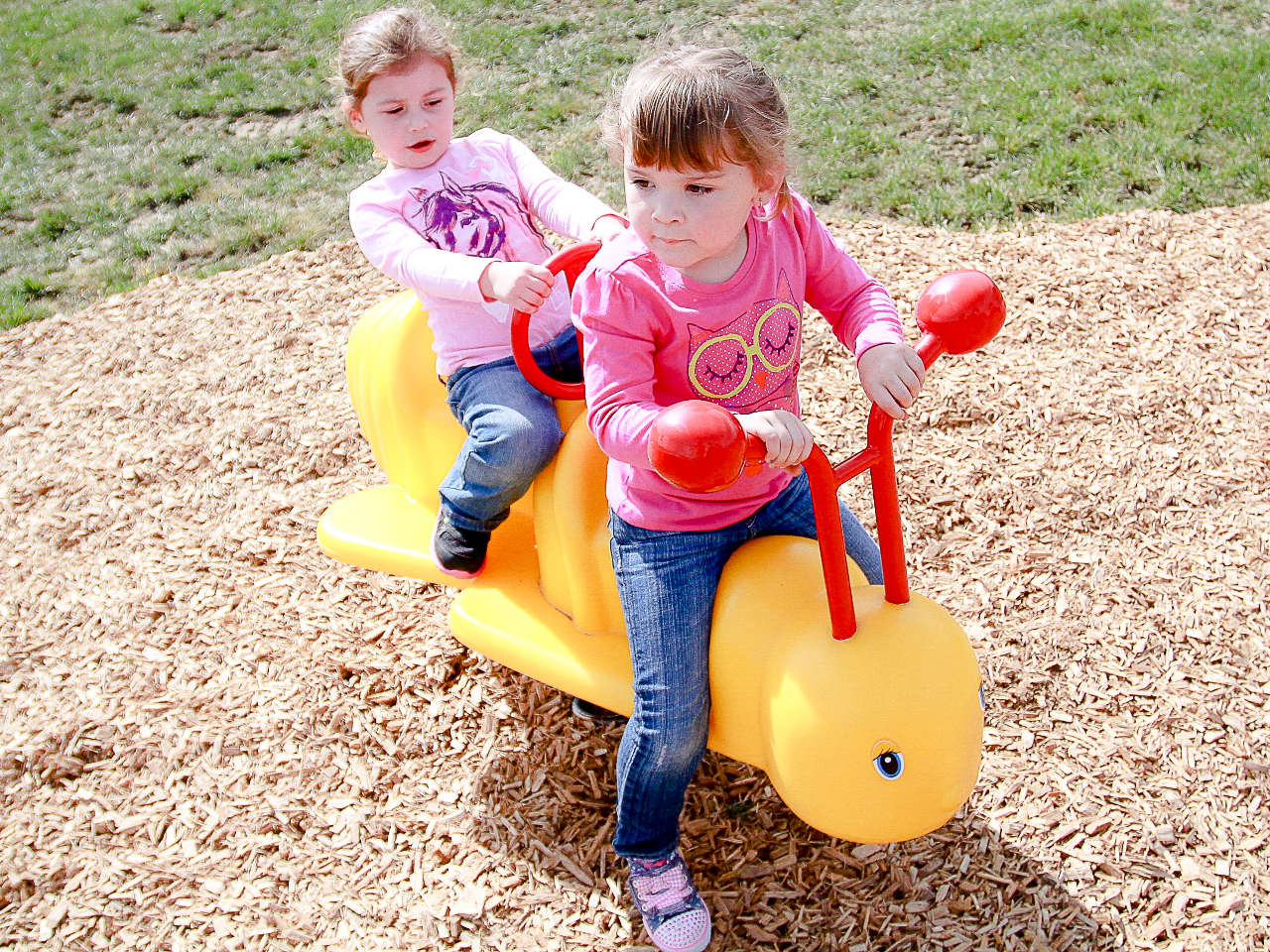Bee Spring Rider