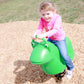Frog Spring Rider