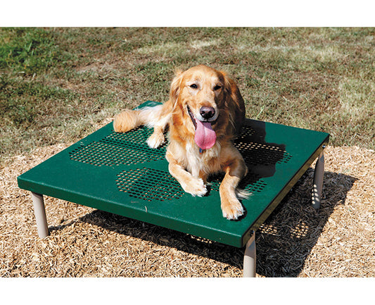 Grooming Table