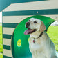 Recycled Crawl Tunnel with Dog House Entry