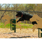Rover Jump Over